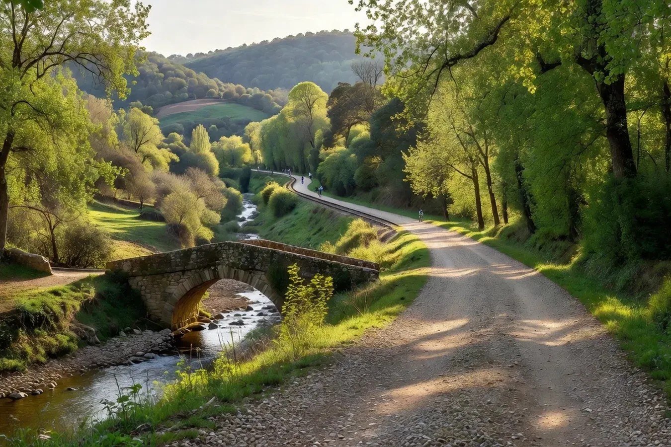 Chemins et forêts du Haut-Languedoc dans le Pays Saint-Ponais